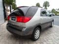 Platinum Metallic - Rendezvous CX AWD Photo No. 17