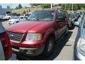Redfire Metallic - Expedition XLT 4x4 Photo No. 4