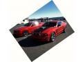 2008 Torch Red Ford Mustang Saleen S281 AF American Flag Patriot Supercharged Coupe  photo #28