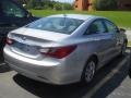 Radiant Silver - Sonata GLS Photo No. 2