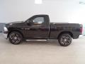 2010 Brilliant Black Crystal Pearl Dodge Ram 1500 ST Regular Cab 4x4  photo #15