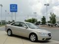Camel Pearl - Sonata GLS Photo No. 3