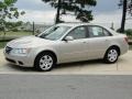 Camel Pearl - Sonata GLS Photo No. 9