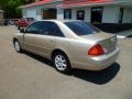 Desert Sand Metallic - Avalon XLS Photo No. 5