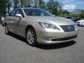 Satin Cashmere Metallic - ES 350 Photo No. 1