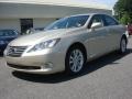Satin Cashmere Metallic - ES 350 Photo No. 7