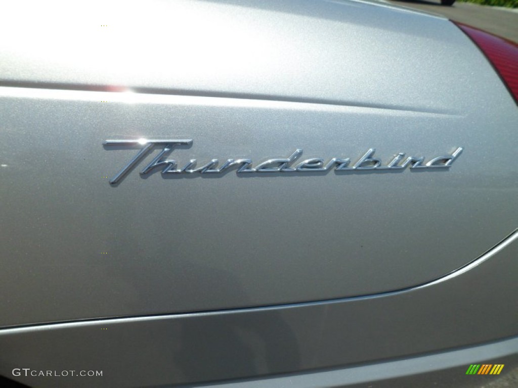 2004 Thunderbird Deluxe Roadster - Platinum Silver Metallic / Black Ink photo #14