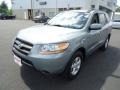 2008 Platinum Sage Hyundai Santa Fe GLS 4WD  photo #2