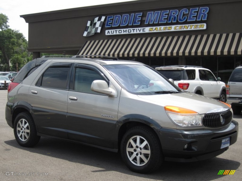 2002 Rendezvous CXL AWD - Pewter Metallic / Dark Gray photo #1