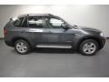 Platinum Gray Metallic - X5 xDrive35d Photo No. 2