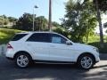 Arctic White - ML 350 4Matic Photo No. 2