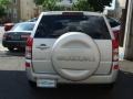 Quicksilver Metallic - Grand Vitara Luxury Photo No. 5