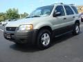 2004 Gold Ash Metallic Ford Escape XLS V6 4WD  photo #8