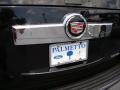 Black Raven - Escalade  Photo No. 42