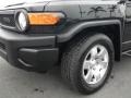 Black Diamond - FJ Cruiser  Photo No. 6