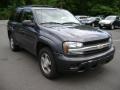 Graystone Metallic - TrailBlazer LS 4x4 Photo No. 3