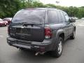 Graystone Metallic - TrailBlazer LS 4x4 Photo No. 4