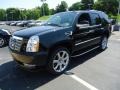 Black Raven - Escalade Platinum AWD Photo No. 1