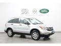 Alabaster Silver Metallic - CR-V SE 4WD Photo No. 1