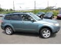 2009 Sage Green Metallic Subaru Forester 2.5 X Premium  photo #5