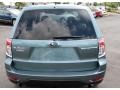 2009 Sage Green Metallic Subaru Forester 2.5 X Premium  photo #6