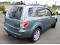 2009 Sage Green Metallic Subaru Forester 2.5 X Premium  photo #19