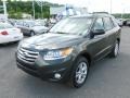 2012 Black Forest Green Hyundai Santa Fe SE V6 AWD  photo #3