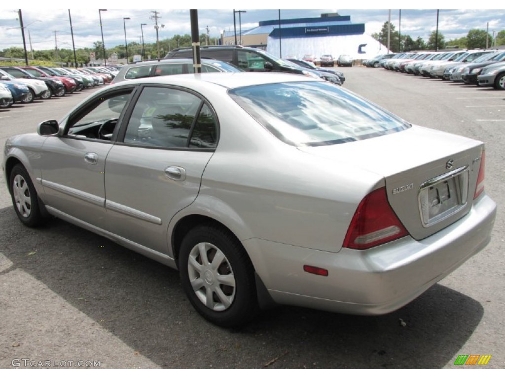 2005 Verona S - Titanium Silver Metallic / Gray photo #12