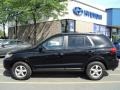 Ebony Black - Santa Fe GLS 4WD Photo No. 9
