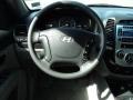Ebony Black - Santa Fe GLS 4WD Photo No. 10