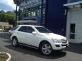 Black - ML 350 4Matic Photo No. 1