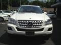 Black - ML 350 4Matic Photo No. 3