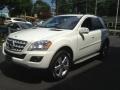Black - ML 350 4Matic Photo No. 4