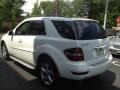 Black - ML 350 4Matic Photo No. 6