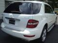 Black - ML 350 4Matic Photo No. 8