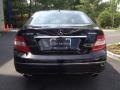 2010 Black Mercedes-Benz C 300 Luxury 4Matic  photo #7