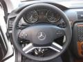  2009 R 350 4Matic Steering Wheel