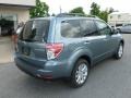 2012 Sage Green Metallic Subaru Forester 2.5 X Premium  photo #6