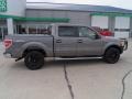 Sterling Grey Metallic 2010 Ford F150 XLT SuperCrew 4x4 Exterior