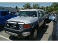 Titanium Metallic - FJ Cruiser 4WD Photo No. 4