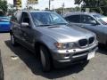 Stratus Grey Metallic - X5 3.0i Photo No. 2