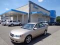 Golden Beige - Sonata SE V6 Photo No. 1