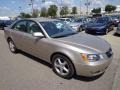 Golden Beige - Sonata SE V6 Photo No. 7