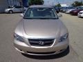 Golden Beige - Sonata SE V6 Photo No. 8