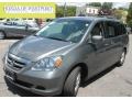 Nimbus Gray Metallic - Odyssey EX-L Photo No. 1
