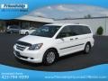 Taffeta White - Odyssey LX Photo No. 3