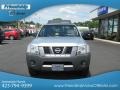 Silver Lightning Metallic - Xterra S Photo No. 4