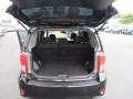 Black Sand Pearl - xB  Photo No. 13