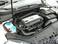 2.0 Liter FSI Turbocharged DOHC 16-Valve 4 Cylinder Engine for 2009 Volkswagen GLI Sedan #66427183
