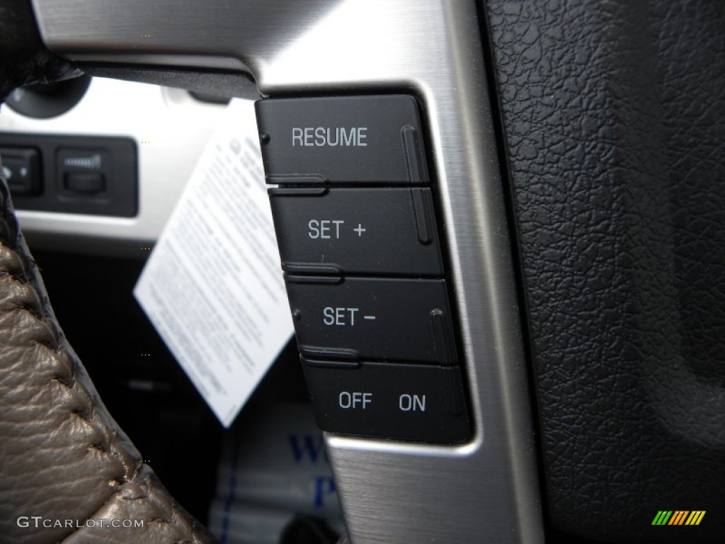 2010 F150 Platinum SuperCrew 4x4 - Red Candy Metallic / Sienna Brown Leather/Black photo #29